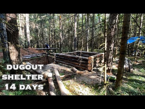 14 days: I'm building a bear-resistant shelter alone