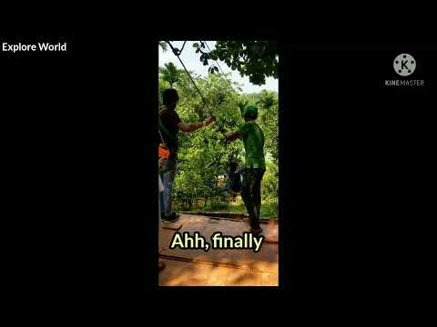 One day with friend's at #Sylhet  tree top adventure fram. #travel #friendship #hangout #good