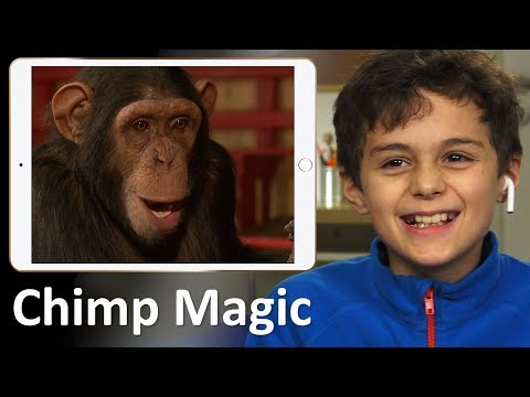 Kids React To Chimp Magic
