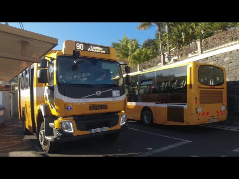 Madeira, Funchal Route 90 The trucks that wanted to be a bus