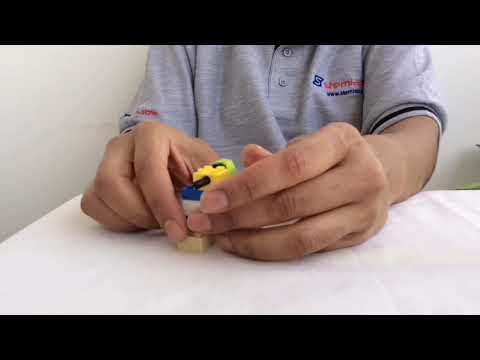 How to build a Sitting dog with Stemlabs building kits