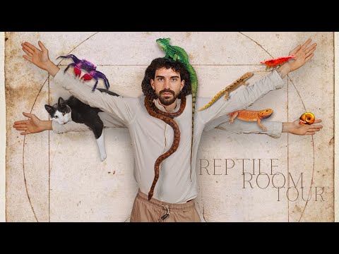 🌿 I TRANSFORMED MY HOUSE INTO A REPTILE PARADISE! | ROOM TOUR & ROUTINE | TERRAQUAMAN