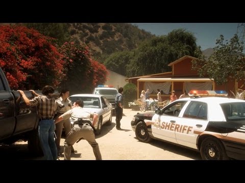 AKC Trailer (2-Minutes)