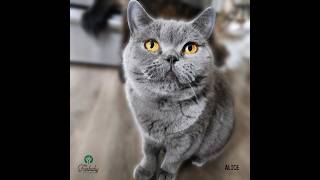 FURBABY PET CARE MARCH 2025