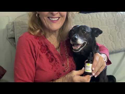 5% Off AuraPets: Natural Nano Drops for Your Dog's Clearer Vision