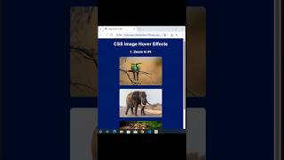 Create AMAZING Image Hover Overlay Effects with CSS