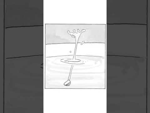 A Drop of Zen
