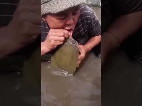 "Granny’s Kiss Gone Wrong: Turtle Takes a Bite!"😂😂😂😂#lol #shorts #memes