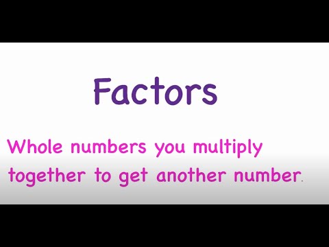 Factors Review