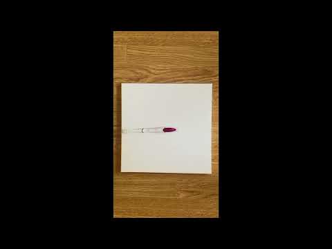 Luciano Chessa Pulsar (2008) Video
