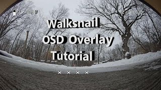 Walksnail OSD on Your DVR Videos!!! - Step by Step Tutorial