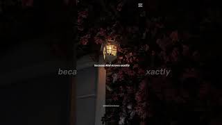 No one can understand and care like Allah does💗✨#deenoverdunya #muslim #allah #allahhuakbar #islam