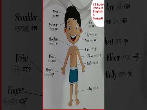 12 Body Parts Name in English & Bengali #Human Body Parts #English Vocabulary #shorts #viralshorts