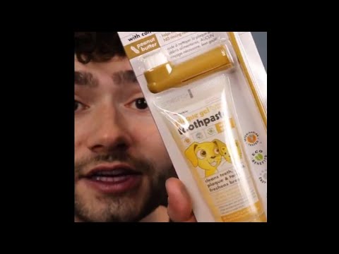 Dental Digest - Dog's toothbrush