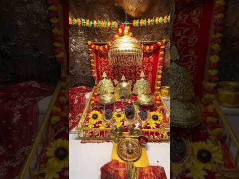 हे नाम रे सबसे बड़ा तेरा नाम ओ शेरोवाली ✨❤️ song status video full screen #vaishnodevi #katra #jammu