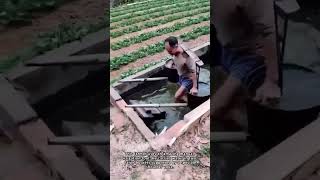 Manual Irrigation System Ingenious Farming Technology