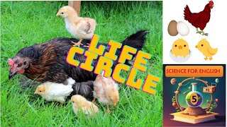 ENGLISH FOR SCIENCE  | THE LIVING WORLD | CHICKEN's LIFE CIRCLE |  GRADE 5 (Lesson 1)