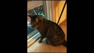 #fypppppppppppppppppppppppppppppppppppppppppppppppppppppppppppppppppppppp