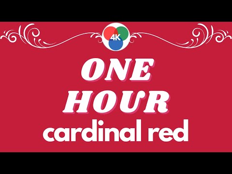 4K UHD - Peaceful Music ONE HOUR (CARDINAL RED) RGB 197,30,58 HEX #C51E3A