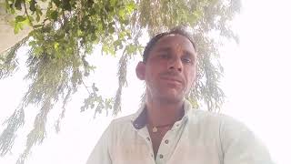 Seiko app Se sikhana shuru Karen sikho app,shikho app,sikho,