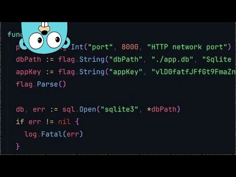 Configuring Golang Apps with Command Line Flags