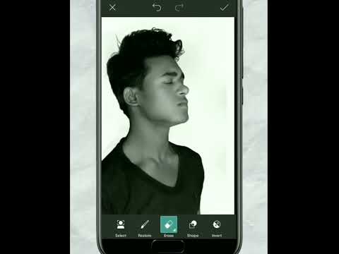 😃 Creative forests shadow photo editing tutorial 🌲|| How to edit a photo || #shorts #short #picsart