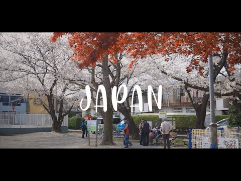 Cherry blossom in Japan - 今年も遠出のお花見を我慢しました