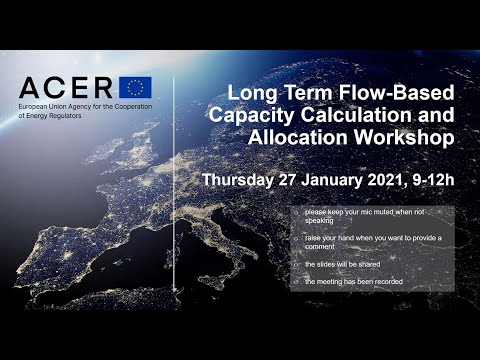 ACER Workshop on Long Term Flow Based Capacity Calculation and Allocation
