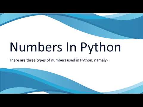 Get Python Assignment Help Online by Experts