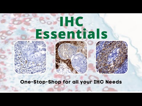OriGene's IHC selection tool - Save time by using this helpful wizard!