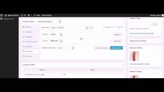 Adding Sizes -  WordPress Ecommerce Web Design South Florida