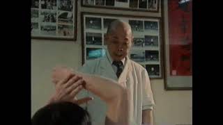 Grandmaster Chan Hon-chung 陳漢宗 Teaching "Plum Blossom Set"  (Mui Fa Kyun 梅花拳)