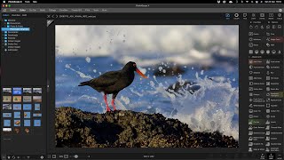 Photoscape Image editing basics by Andrew Aveley