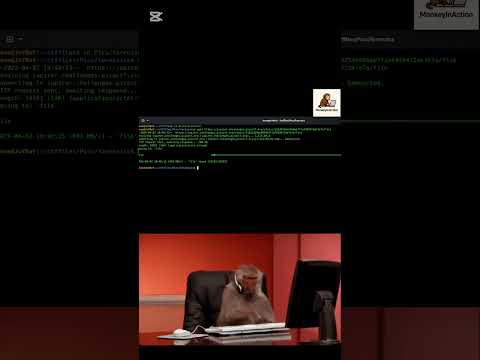"First Grep" PicoCTF. #ctf #picoctf #tutorial  #capturetheflag #play #monkey #firstshortvideo