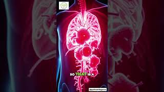 Unlocking the Power of Your Microbiome: Tolerance Explained