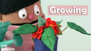 Growing - BBC Bitesize Foundation Personal Development and Mutual Understanding