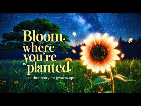 Struggling to find your sunshine? This bedtime story is for you.