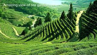Top 10 Most Beautiful Places in Bangladesh #bangladesh #beautiful