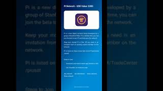 Pi Network - USD Value: $300