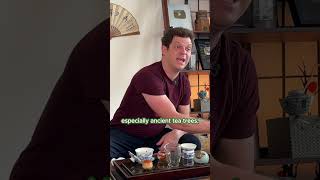 How many times can you steep your red tea?