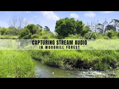 Behind the Sounds: Capturing Stream audio in Woodhill