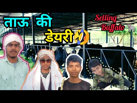 दुबई से आया शेख//Shekh comes from Dubai//selling buffalo 🐃 🐃🐃@Rs_ydvnshi