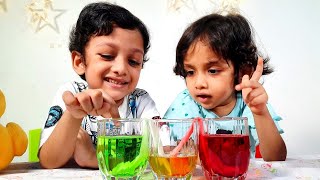 Walking water science experiment Easy diy science experiments for kids Cucudus science lab