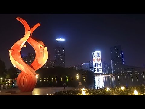 Hefei Swan lake | beautiful night view | relaxing area in the city