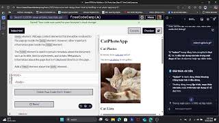 FreeCodeCamp  HTML CSS Journey - Day 2.1