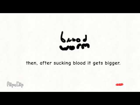 Worms 2