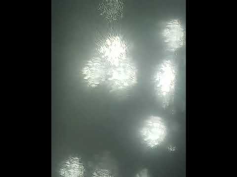 LOOK OUT Live Stream