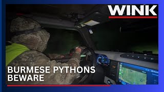 Hunters plunge into Everglades as 2025 Florida Python Challenge begins