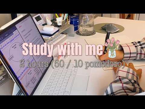 2 HOUR STUDY WITH ME 📚 Pomodoro 50/10 | Real Time, No Music, Background Noise