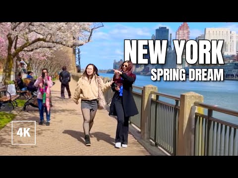 Roosevelt Island walking tour – Spring Spectacle! NYC Walking Tour 4K
